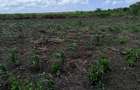 12 ha Land at Malindi -Lamu Highway - 3