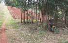 0.7 ac Land in Kikuyu Town - 6