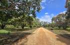 Land at Mombasa Malindi Highway - 10