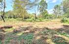 Residential Land at Spring Valley Lower Kabete - 6