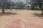 3 ac Land in Karen - 3