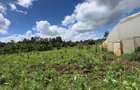 0.5 ac Residential Land in Karen - 11