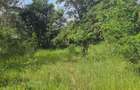 Residential Land in Ongata Rongai - 5