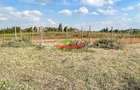 0.125 ac Residential Land at Lusigetti - 5