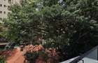 2 Bed Apartment with En Suite in Westlands Area - 16