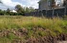 0.5 ac Residential Land at Bomas - 5