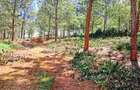 500 m² Residential Land at Oaklands - 3