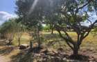 Land in Isinya - 3