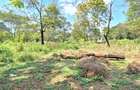 Residential Land at Spring Valley Lower Kabete - 3