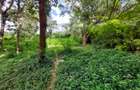Residential Land at Runda Grove - 8