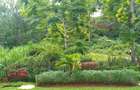 4 Bed Villa with En Suite in Rosslyn - 3