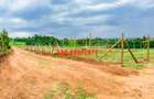 0.05 ha Residential Land at Thigio - 5