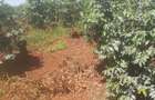 403 ac Land at Near Tatu City Estate - 6