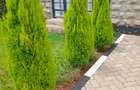 4 Bed House with En Suite at Komrade - 17