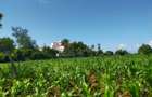 Land in Kilifi County - 10