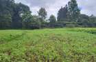1 ac Land at Limuru Road Ack St Julian - 11