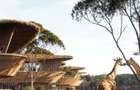 1 Bed Apartment with En Suite at Porini Point - 13