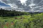 Land in Tigoni - 1