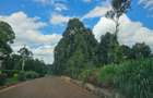 5,000 ft² Land at Muchatha Banana Kiambu - 6