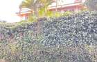 4 Bed House with Staff Quarters in Westlands Area - 13