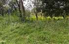9 ac Land in Karen - 5