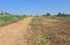 0.49 ac Residential Land in Runda - 2