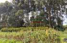 4,000 m² Land in Limuru - 10