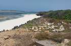 Land in Kilifi County - 11