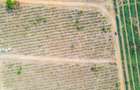 0.125 ac Land at Vipingo - 12