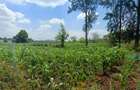 440 m² Residential Land at Limuru Uplands - 1
