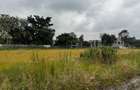 1 ac Residential Land in Karen - 6