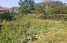0.5 ac Land in Nyari - 3