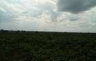 Land at Nanyuki-Rumuruti Rd - 9