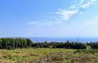 0.125 ac Residential Land at Thigio - 4