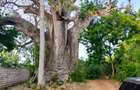 Land in Vipingo - 13