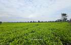 995 ac Land in Tigoni - 7