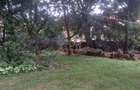 Residential Land at Lavington - 8