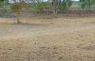Land in Malaa - 1