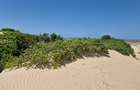 0.125 ac Land in Malindi - 14
