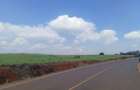 5 ac Land at Near Tatu City - 7