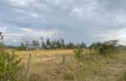 0.5 ac Land in Nanyuki - 2