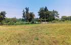 1,000 m² Residential Land at Ondiri - 5