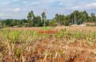 0.05 ha Residential Land in Kamangu - 14