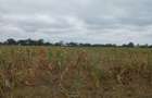 20 ac Land at Kitengela Plains - 10
