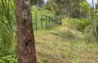 0.5 ac Land at Limuru Girls Secondary School - 7
