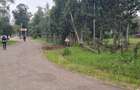 Land in Hurlingham - 3