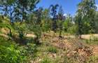 Land in Shanzu - 4