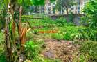 0.0334 ha Commercial Land at Kabete - 3