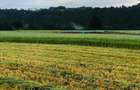 33 ac Land at Ol Kalou - 1