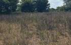 Land in Kilifi - 13